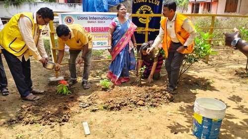 Plantation Program LCBr Berhampur Gold